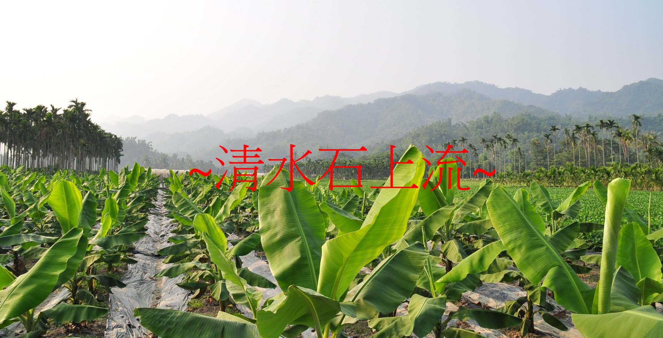 群山.jpg