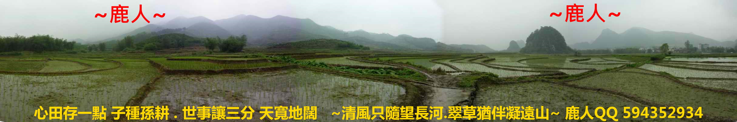 落田_006.JPG