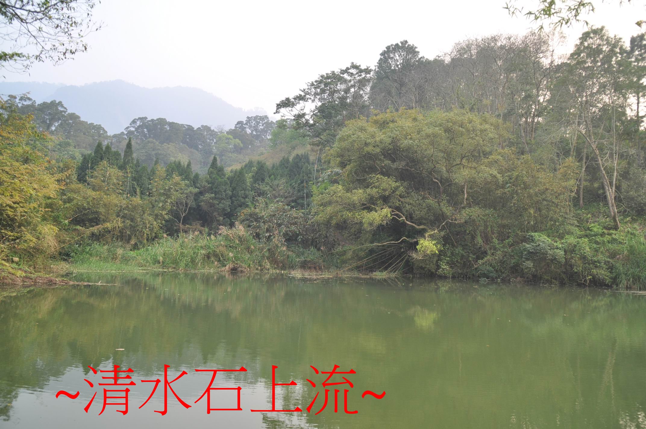 落脈入首1.jpg