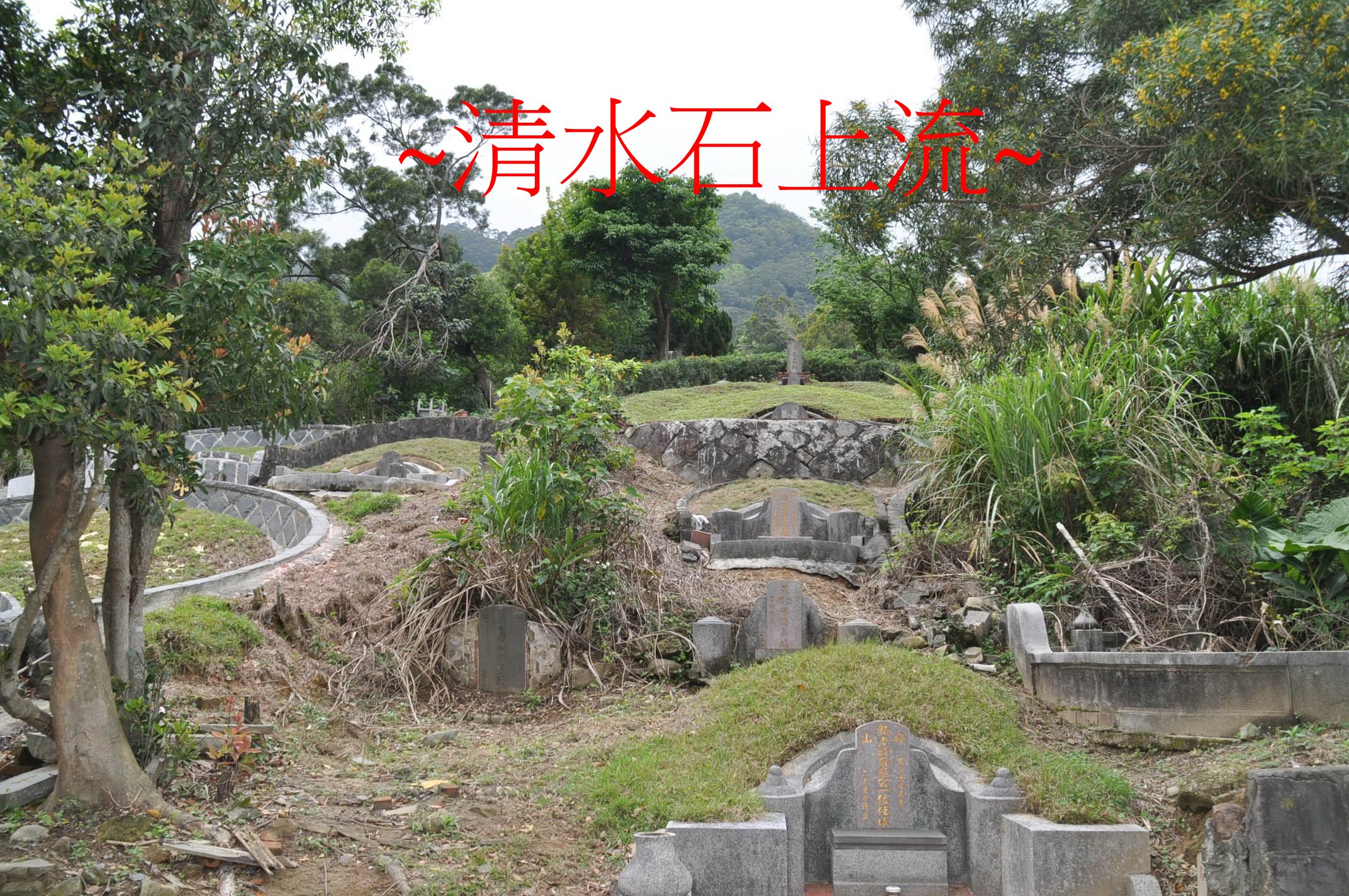落脈2.jpg