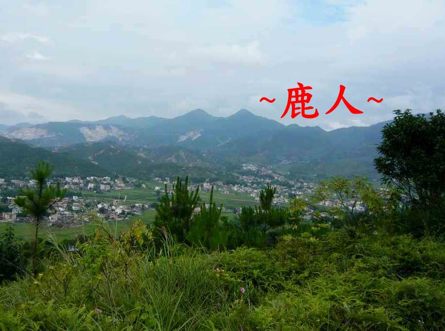 遍體鱗傷_894_2.JPG