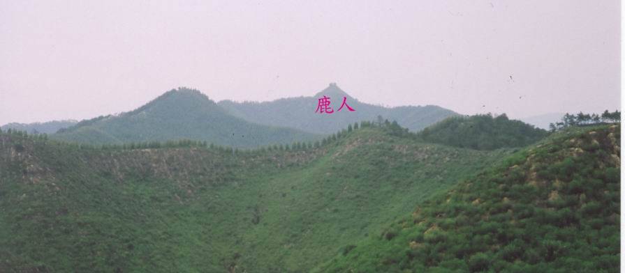圖片-05.jpg