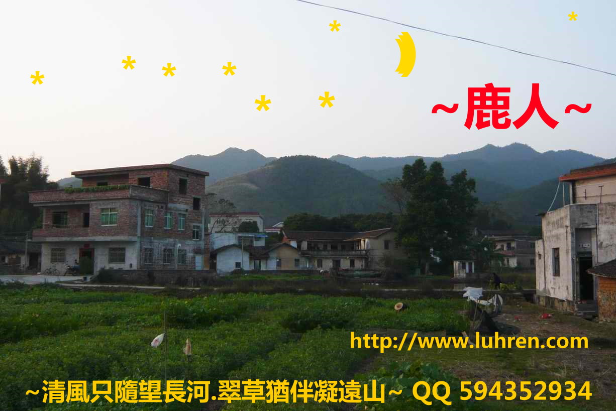 摘星_02.JPG