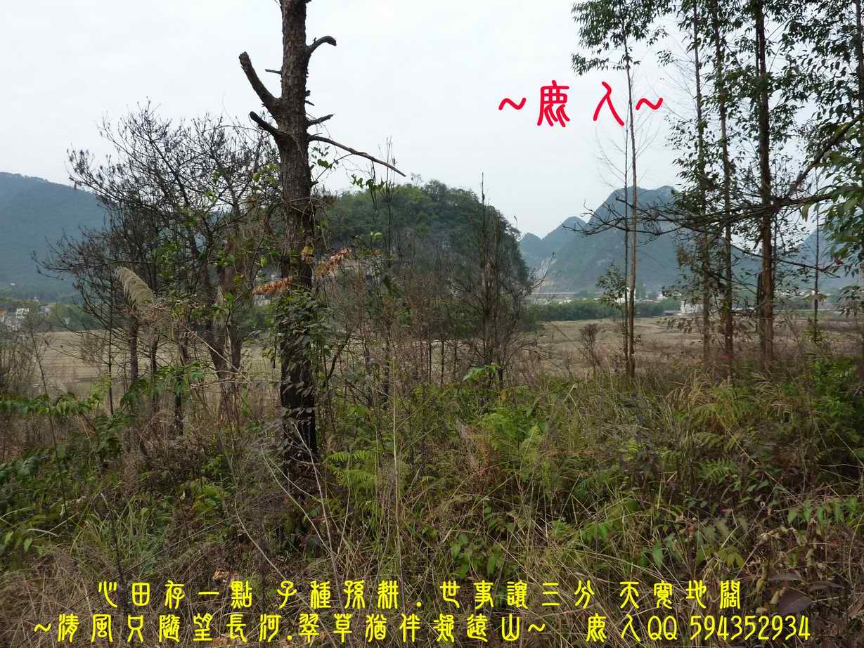 滾動流金_04.JPG