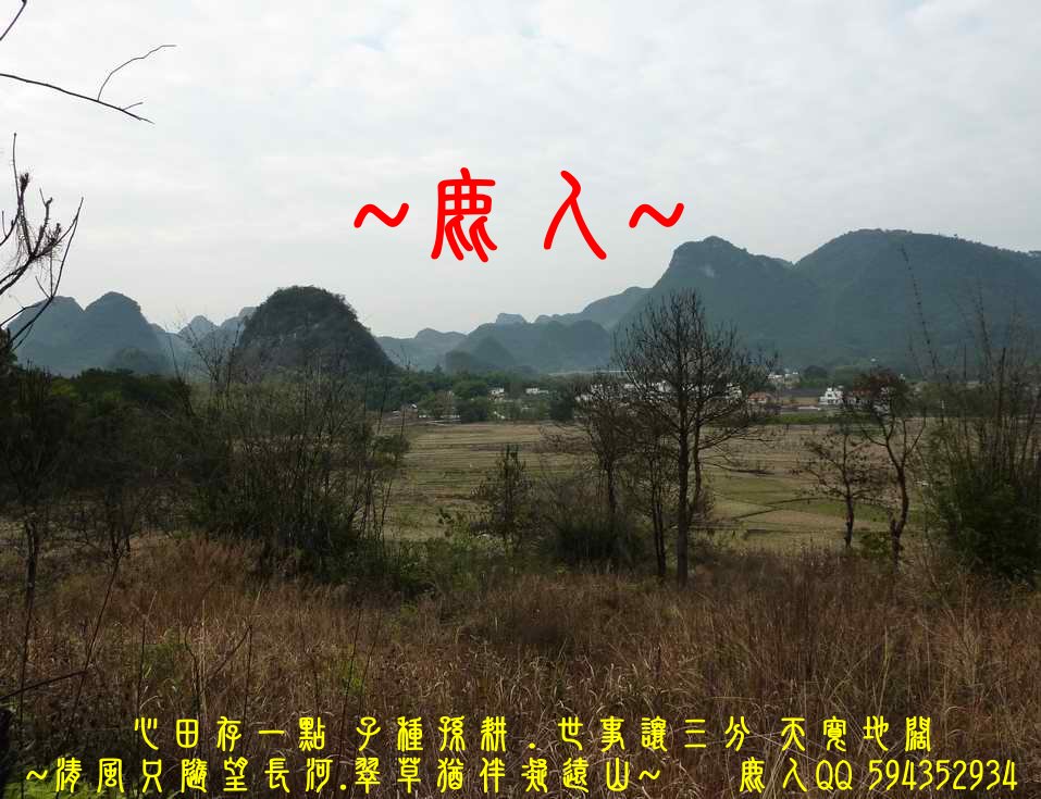 滾動流金_09.JPG
