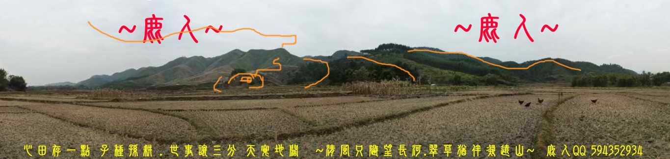 滾動流金_01(標示).JPG