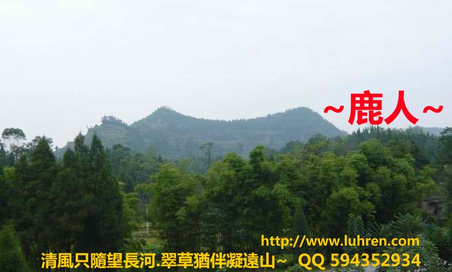 精神_02.JPG