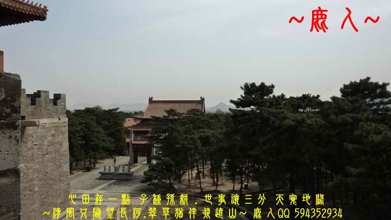 影_01.JPG