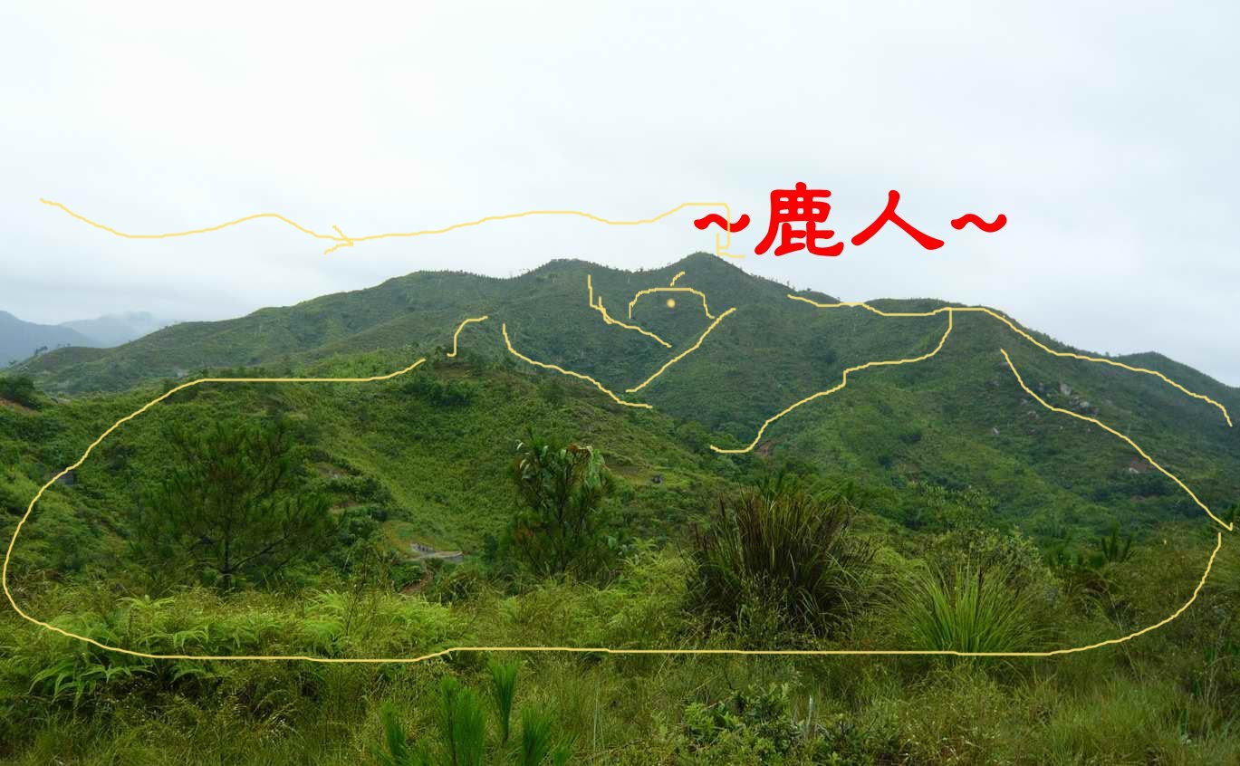 標線.JPG