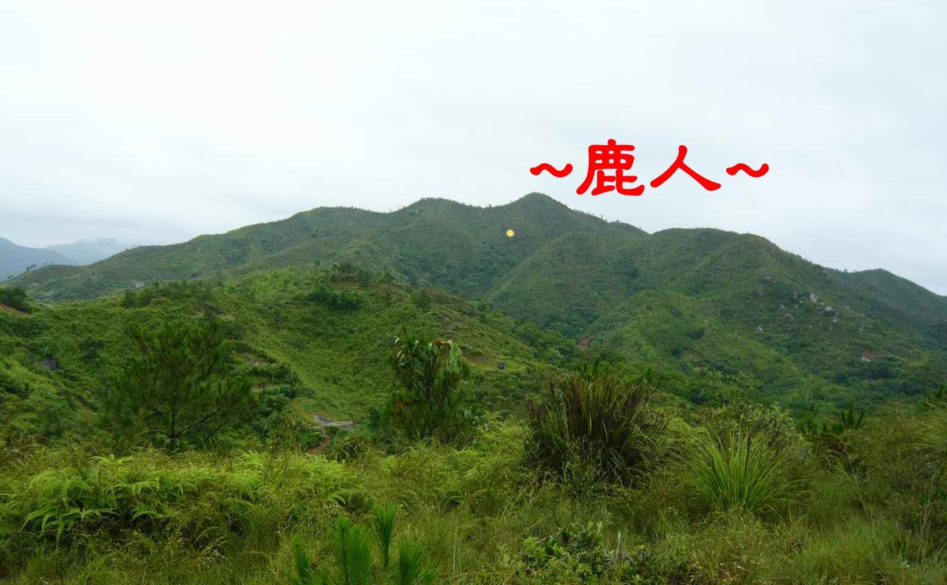 標點.JPG