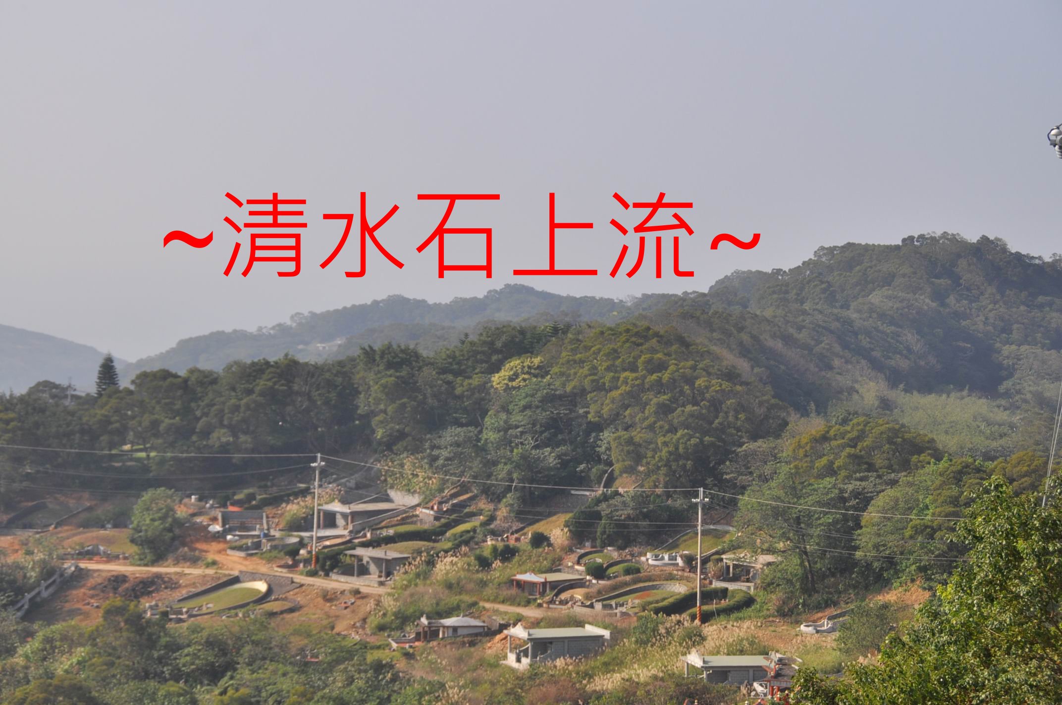 蝦2.jpg