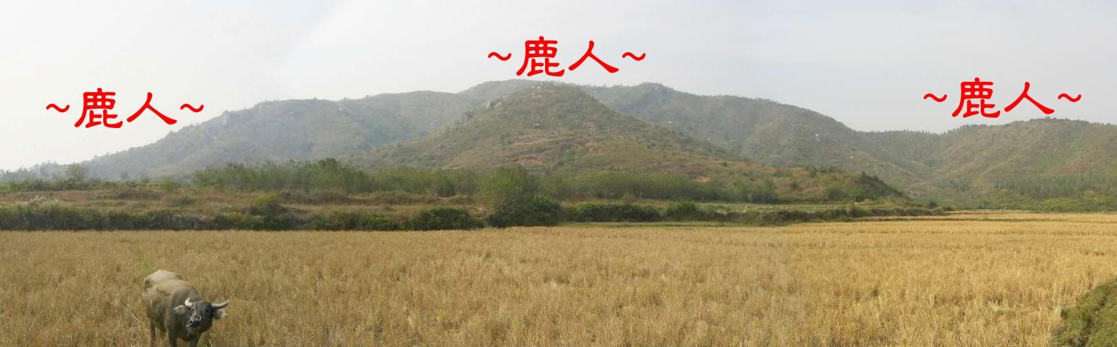 複製 (2) - Stitched_007.JPG