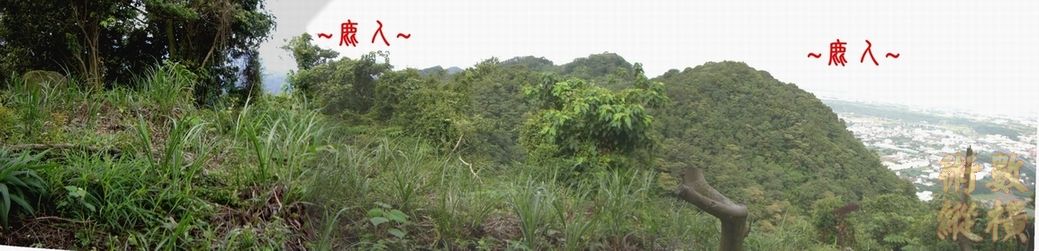 複製 18在祖山頂看來龍與背後景.JPG