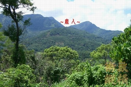 複製 CIMG9538.JPG