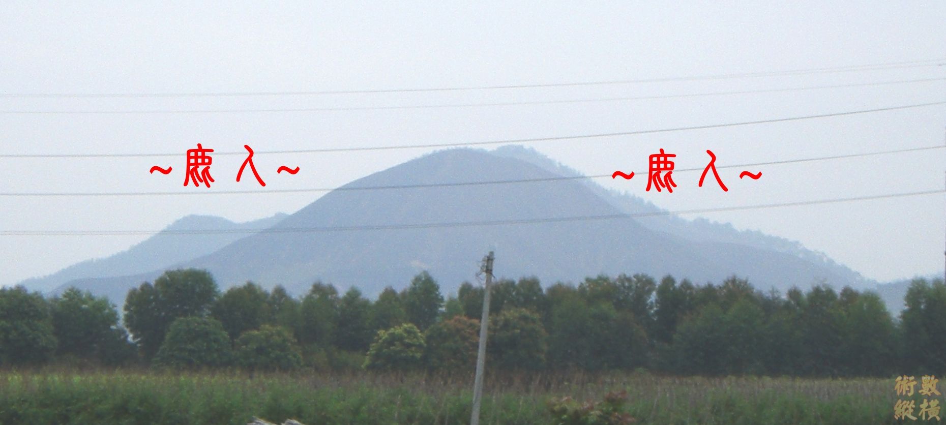 複製 Dd1773.JPG
