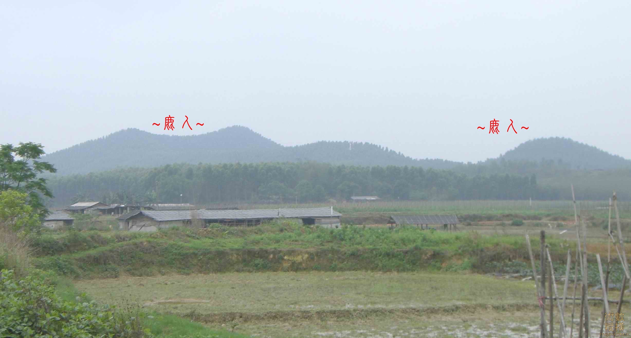 複製 遠看行龍與父母山.jpg