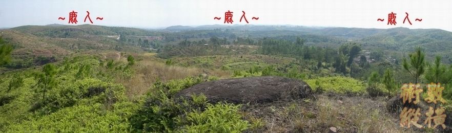 複製 複製 看後段行龍與堂局.JPG