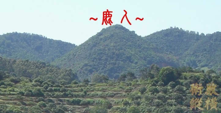 複製 複製 CIMG8318.JPG