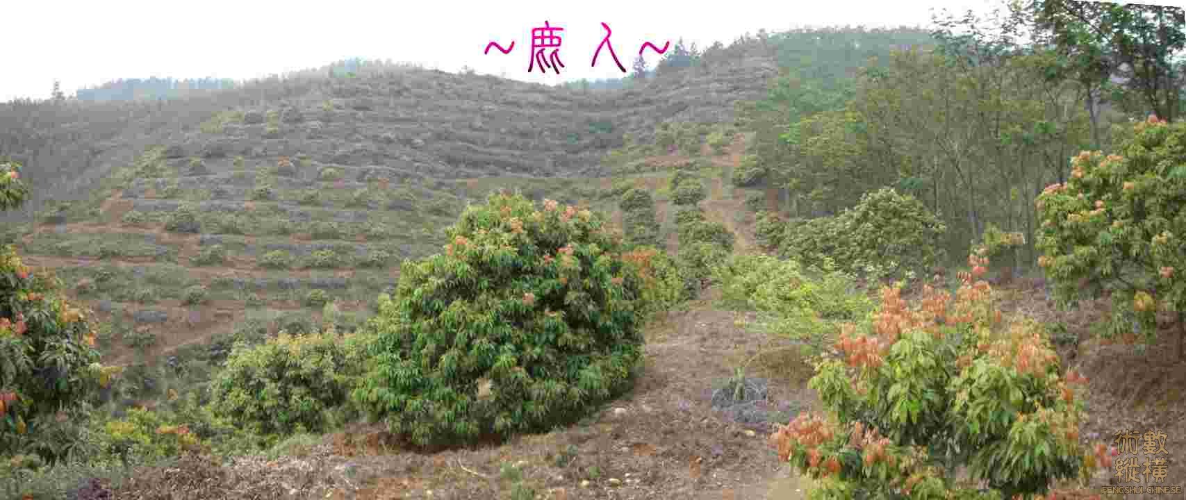 複製 複製 看束氣與開帳全照.JPG