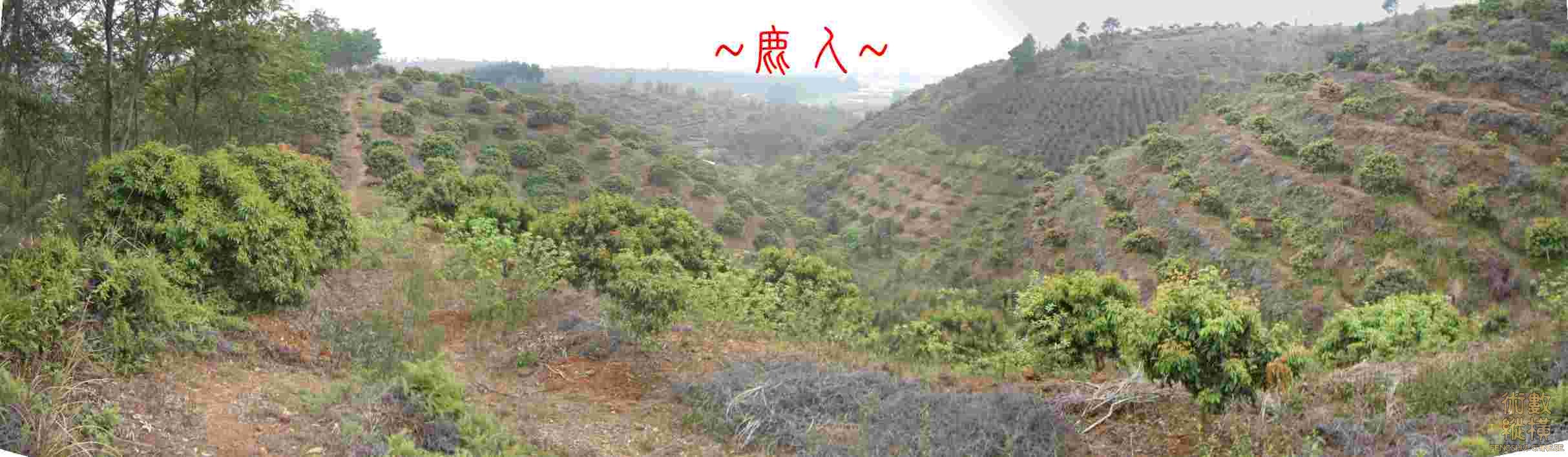 複製 複製 父母山下脈束氣處看行龍全照.JPG