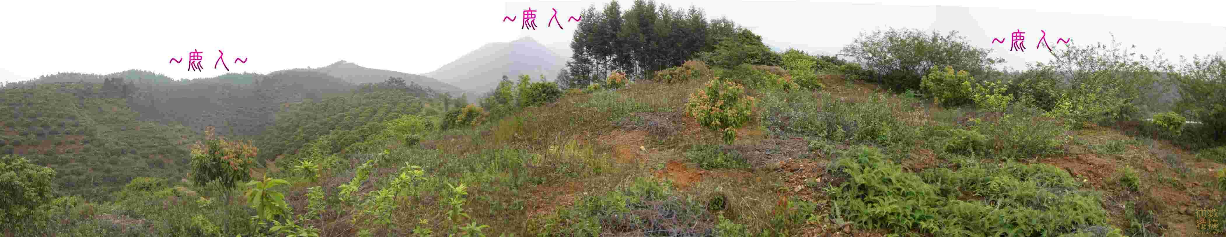 複製 複製 在父母山看祖山來龍與右帳砂全景.JPG