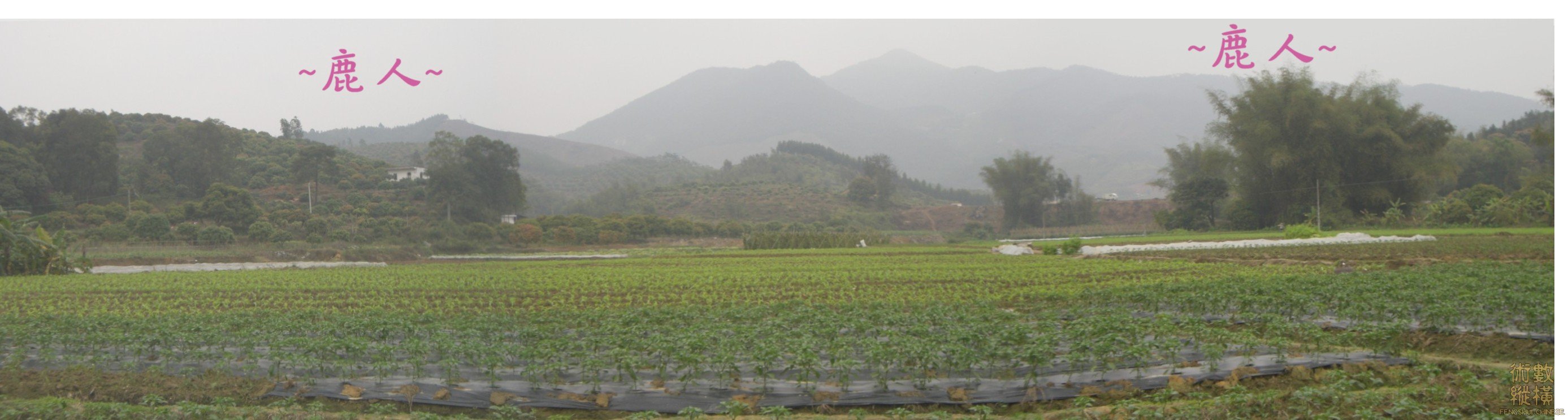 複製 複製 遠看穴場全景.JPG