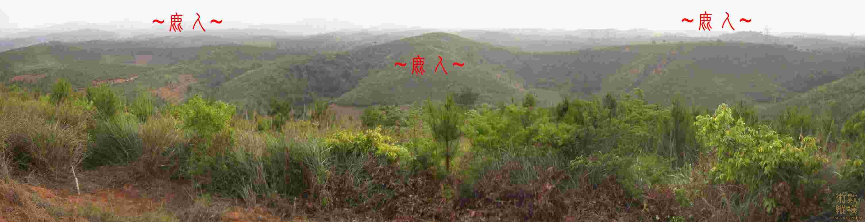 複製 穴場看朝山全景.JPG