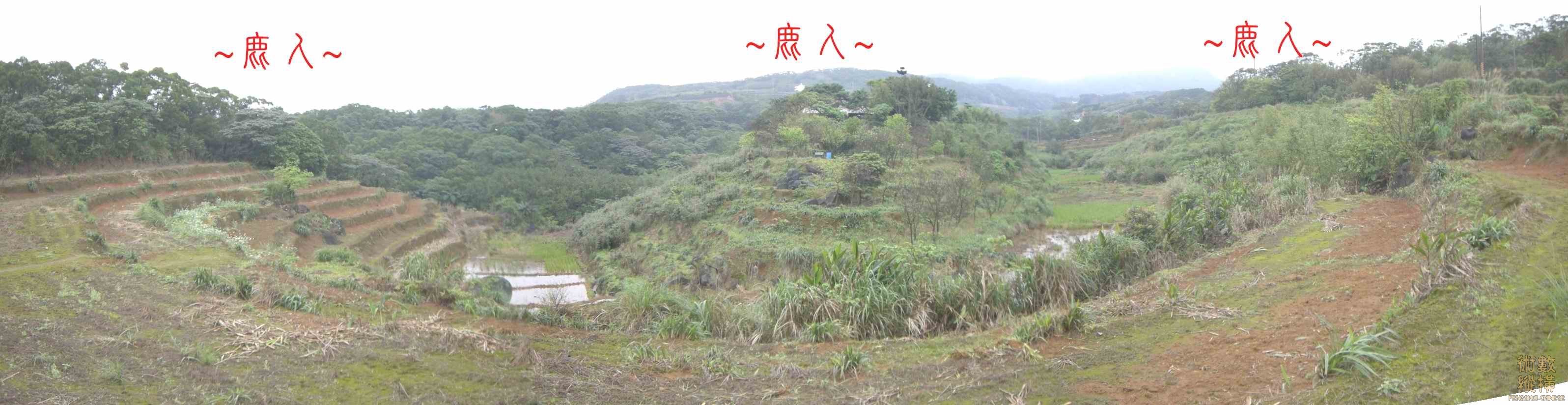 複製 在案山正看蛇穴全景.JPG