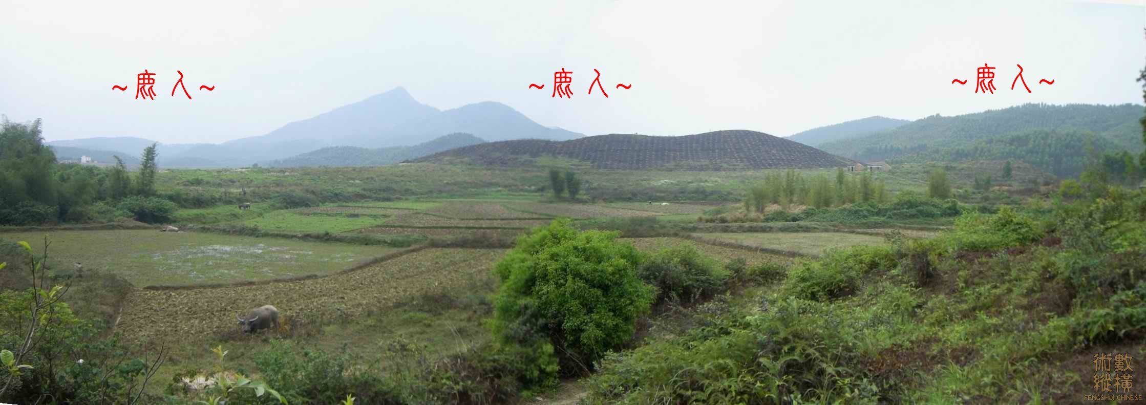 複製 看祖山與來龍全景.JPG