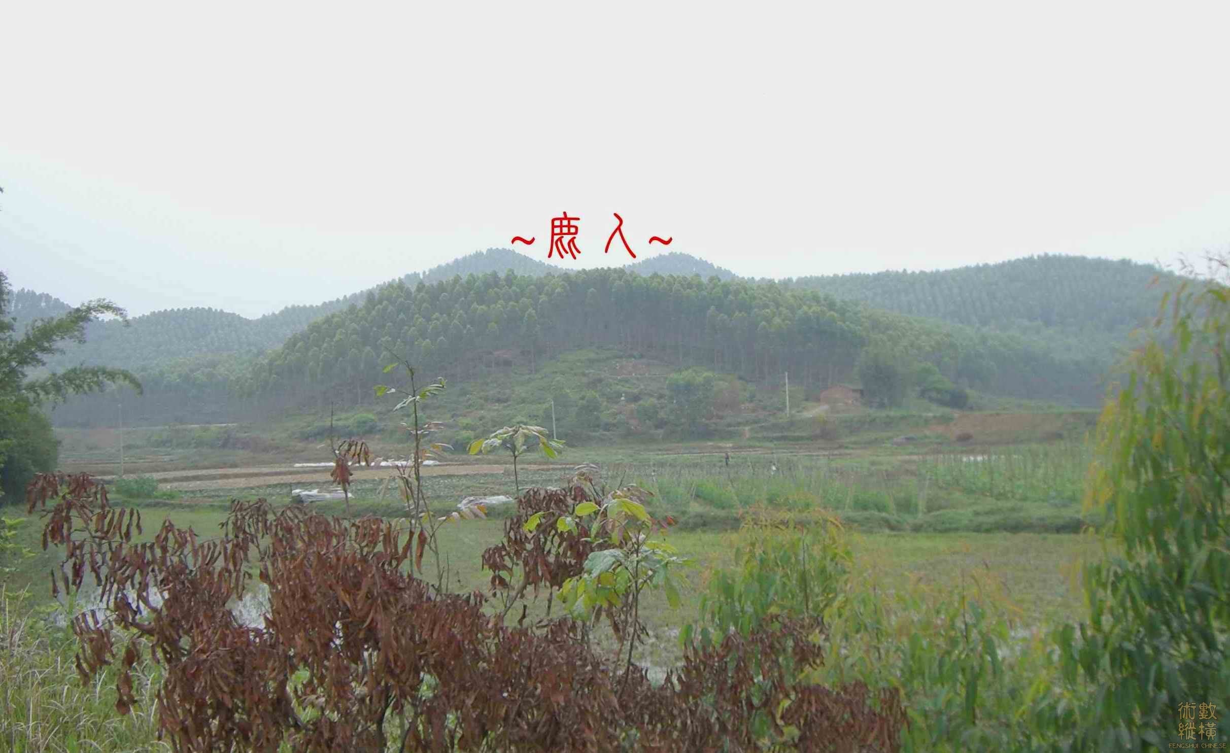 複製 看看穴場.jpg