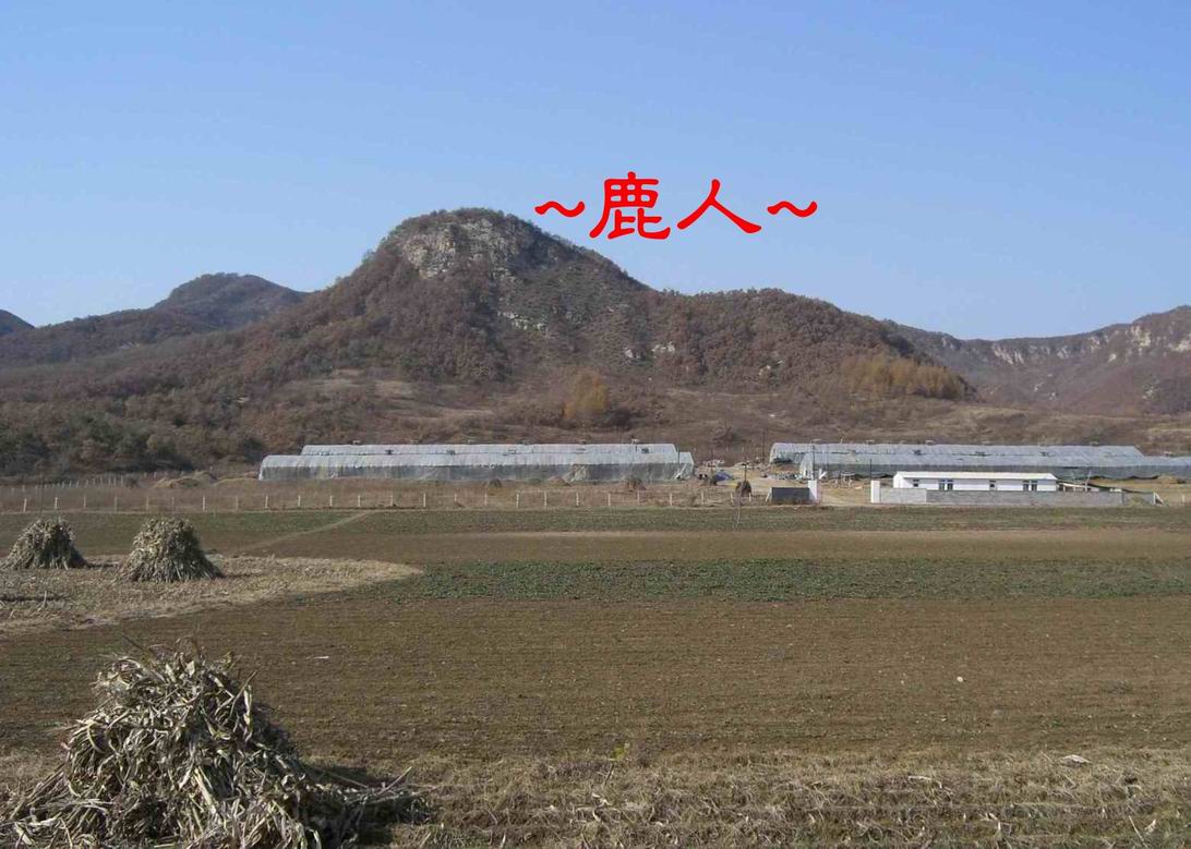 調整大小東北雄獅_152.JPG