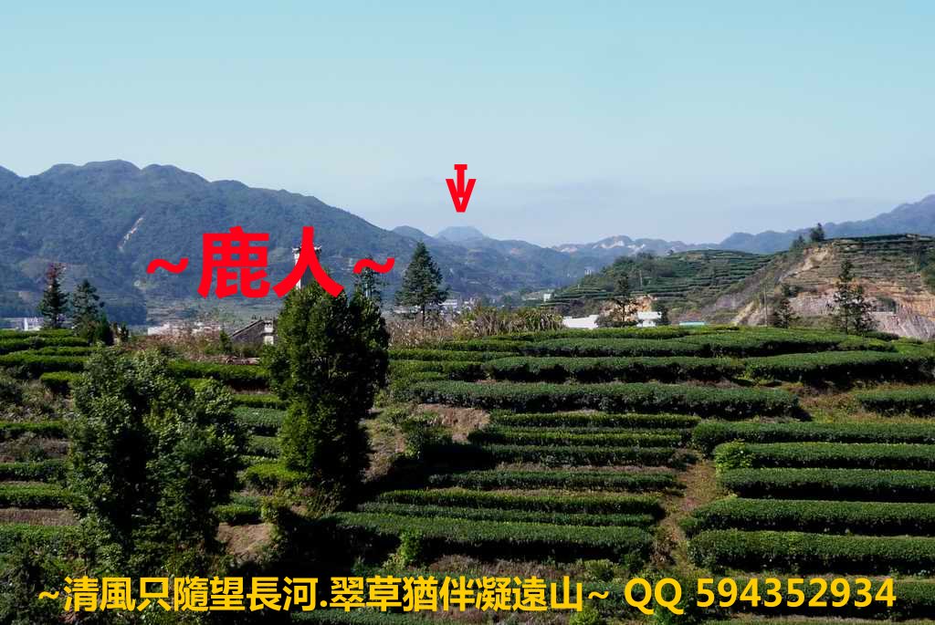 誰 來看我_02_1.JPG