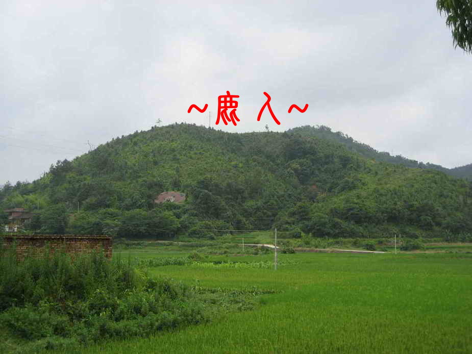 鄭氏始祖氶相鄭清墓1.JPG