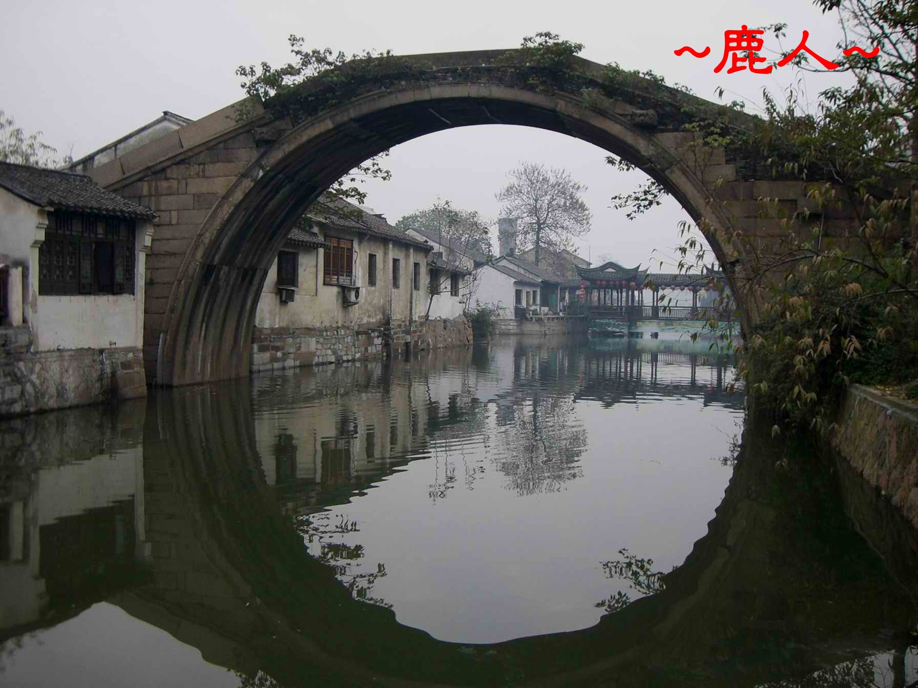 橋與影_圓.JPG