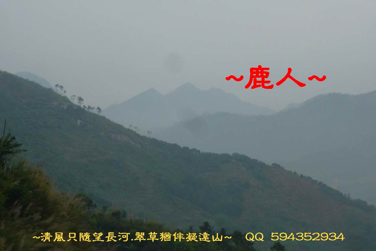 騎1_祖山.JPG