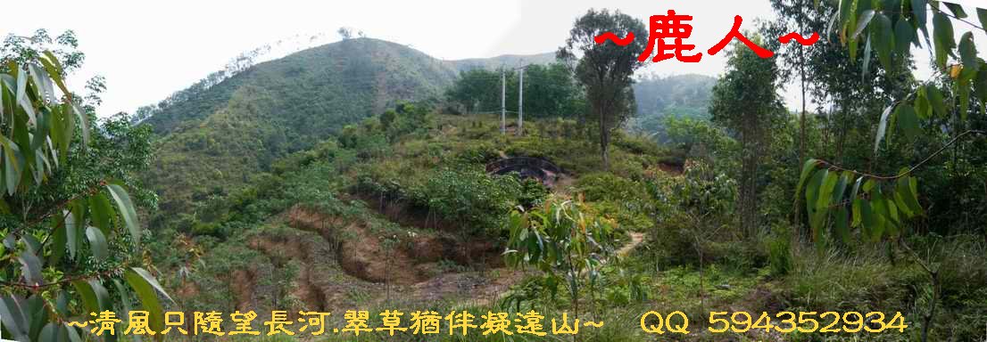 騎_11看騎龍穴場與清_道光期重修古墓.JPG