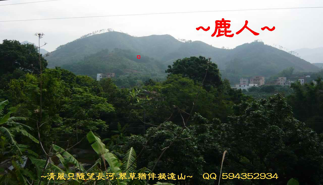 w01fMru3rN2l3g==_eGlyIL9mlOOb.jpg