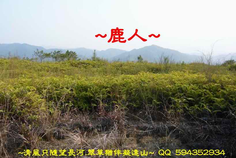 騎龍兩樣情_08.JPG