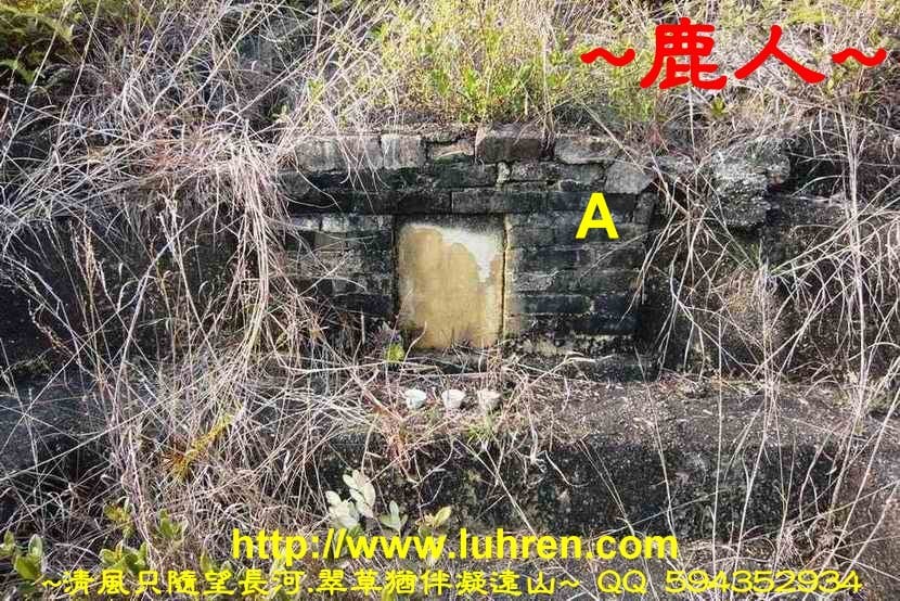 騎龍兩樣情_01.JPG