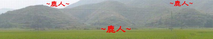 蟹形穴15_13.JPG