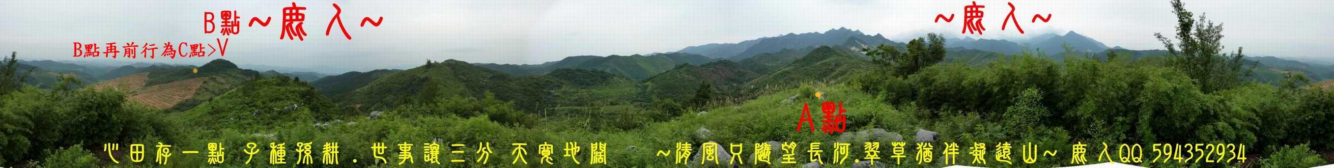 龍_01.JPG