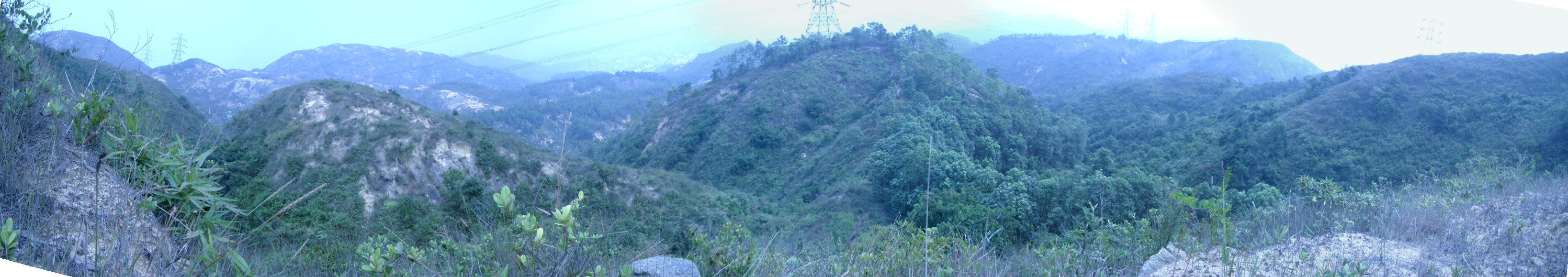 龍到頭.JPG