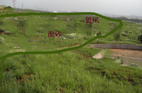 龍砂.jpg