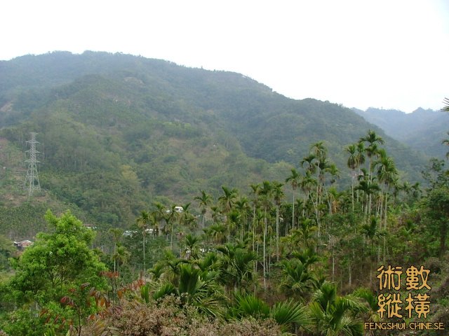龍砂短短的.jpg