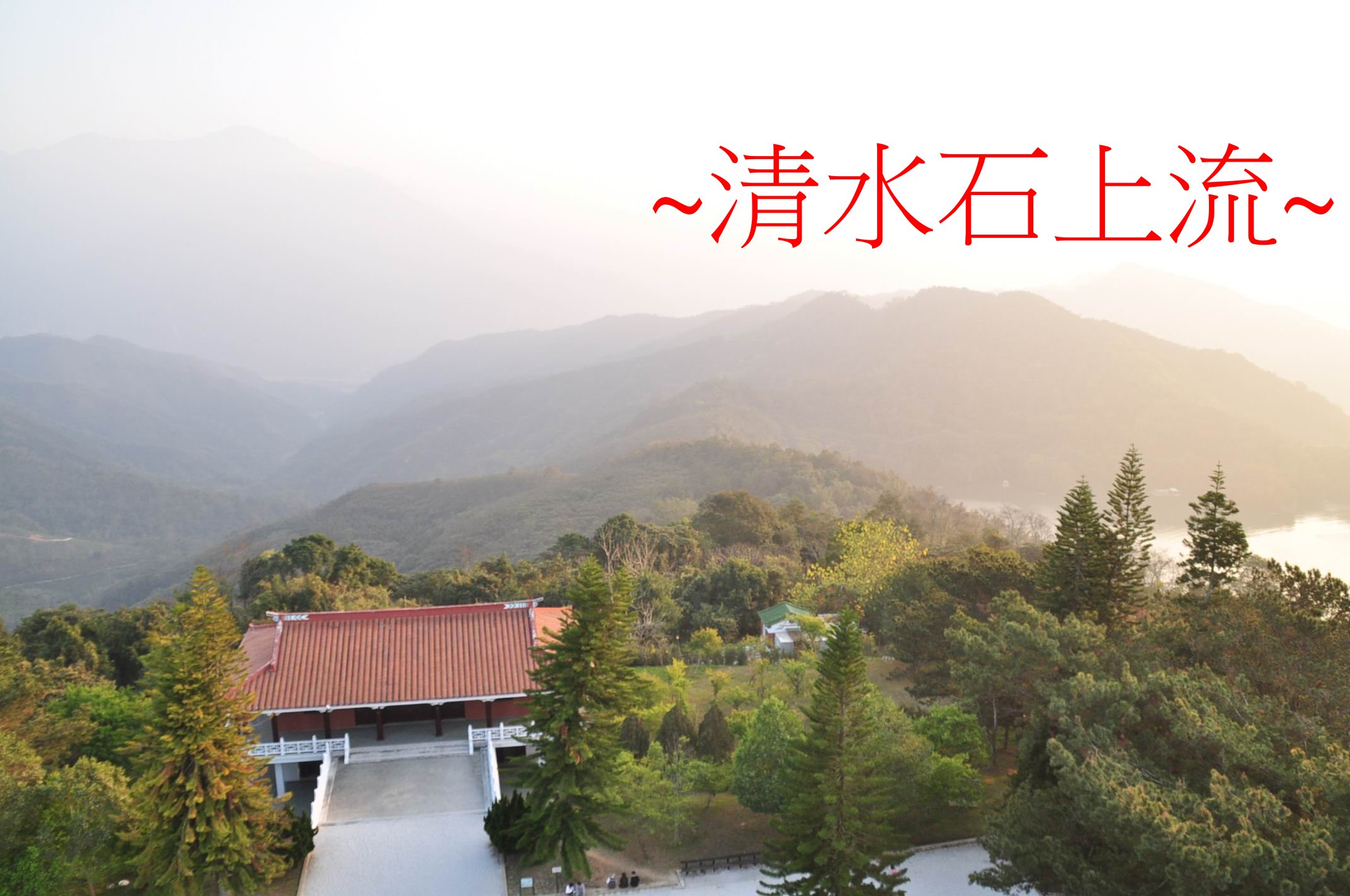 趨右2.jpg
