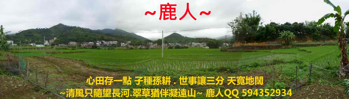 雙燕挑樑_09.JPG
