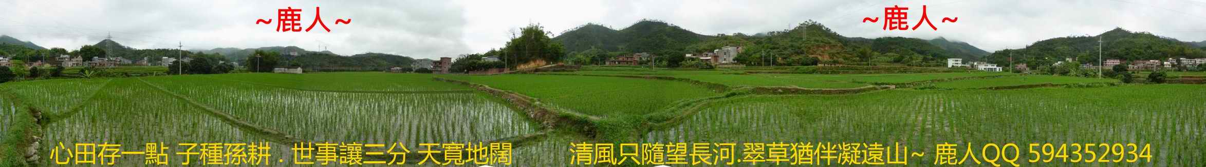 雙燕挑樑_03.JPG