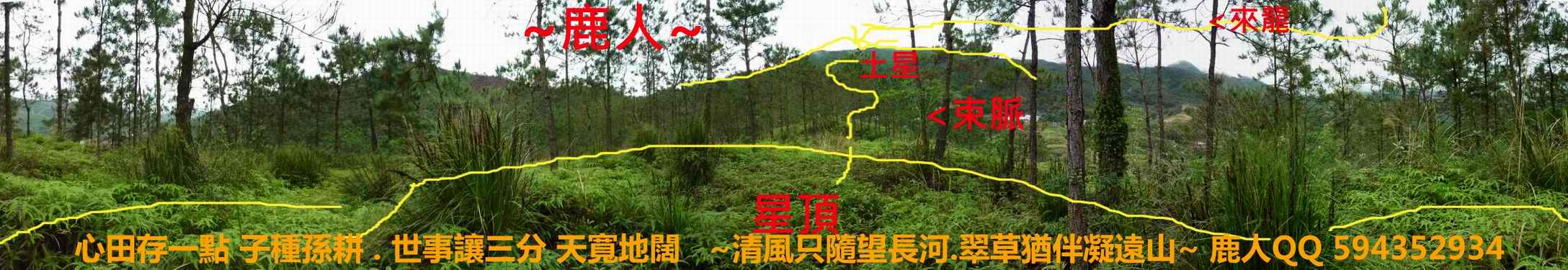 雙燕挑樑_06.JPG