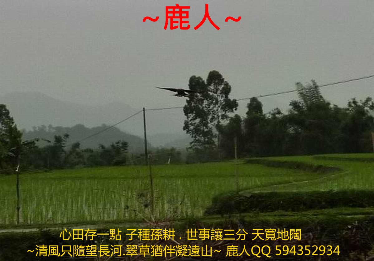 雙燕挑樑_01.jpg