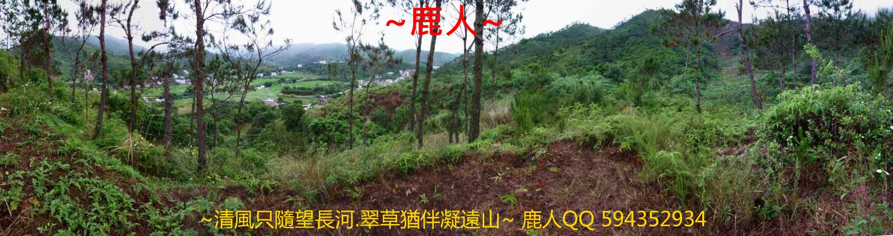 雙燕挑樑_04.JPG